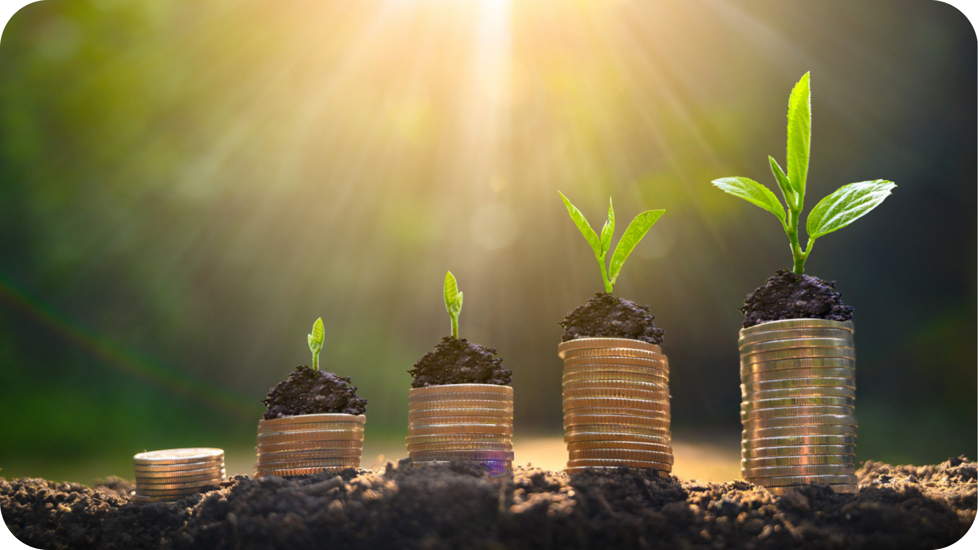 Level 4 apprentinticeships allow professionals to earn while they learn, shown by coins with growth sprouts