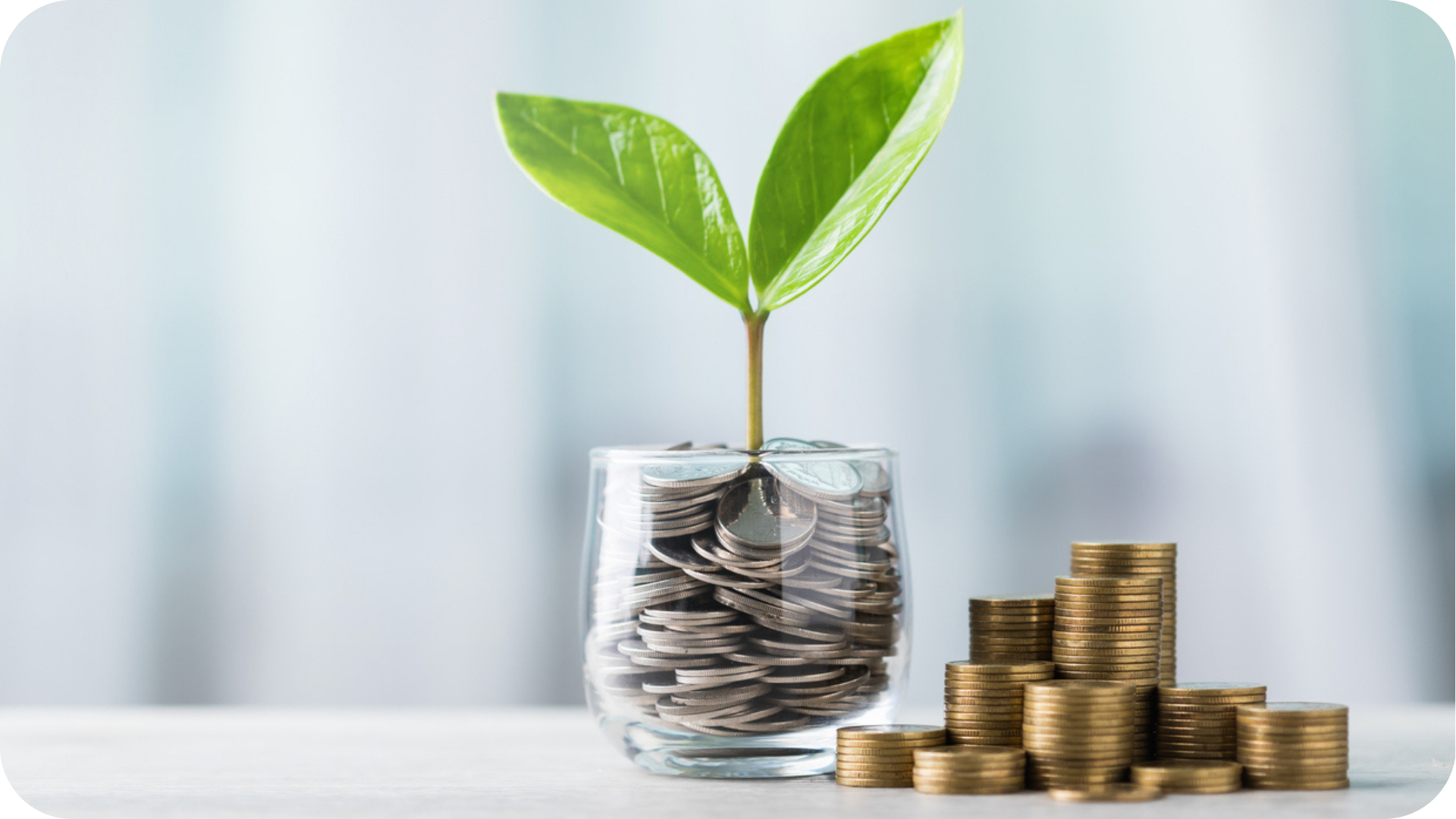Apprenticeship Funding Rules represented in a jar of coins with a sprout of growth coming out of the top