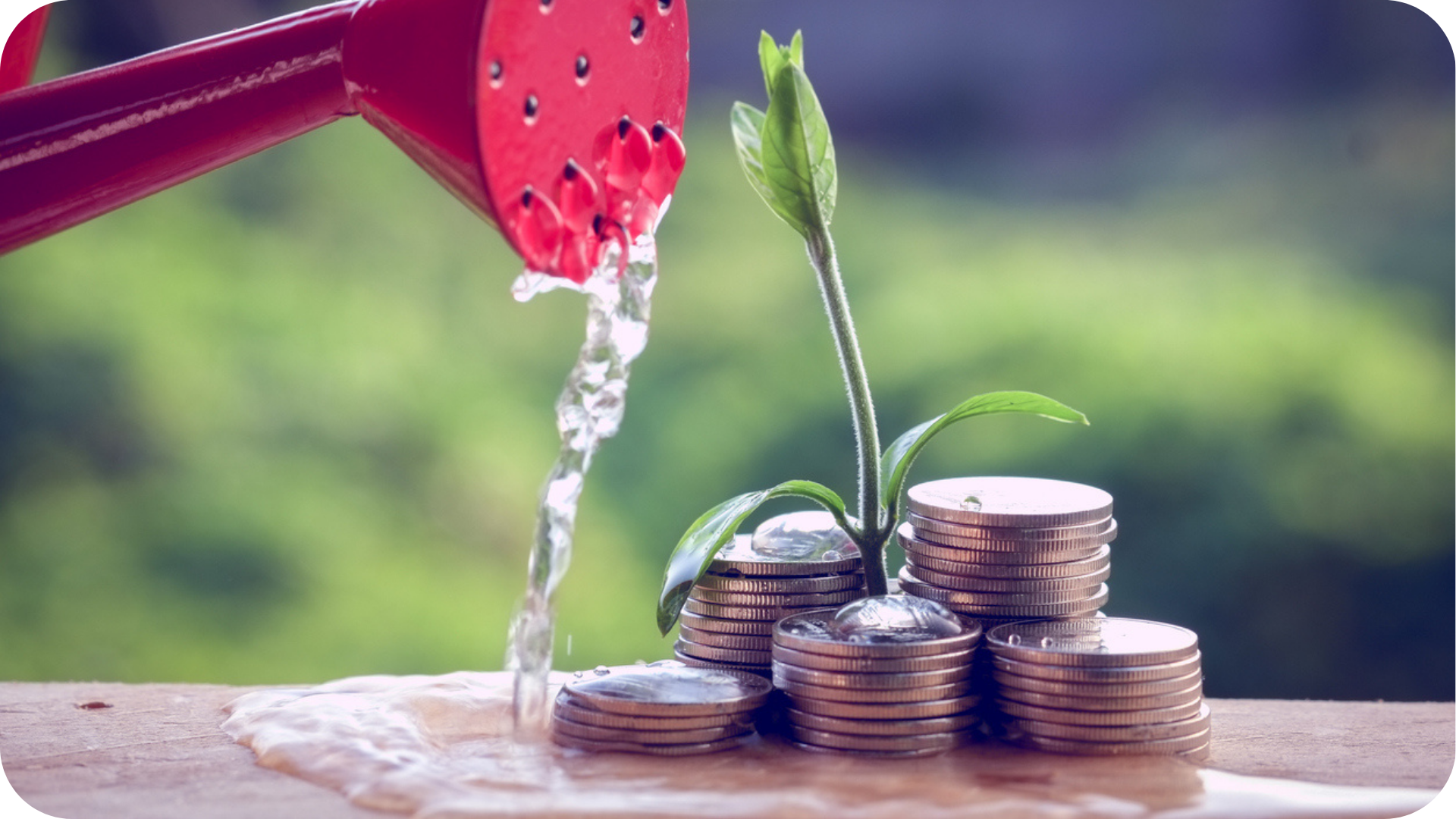 Apprenticeship Funding Guidance shown by a red watering can watering the sprouts coming from piles of coins
