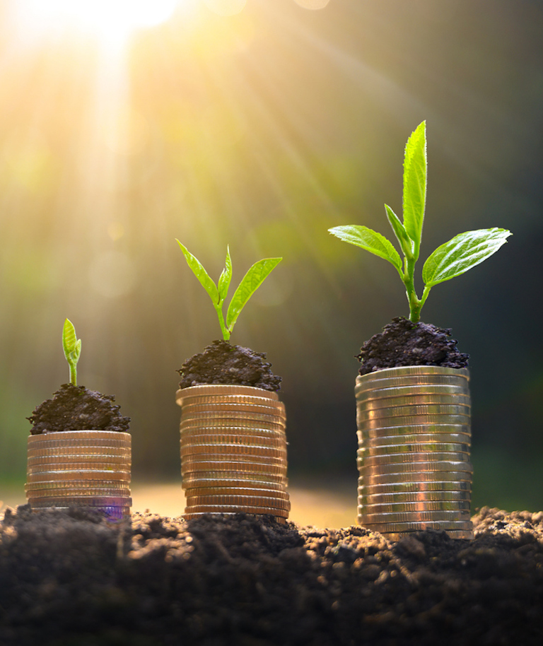 Level 4 apprentinticeships allow professionals to earn while they learn, shown by coins with growth sprouts